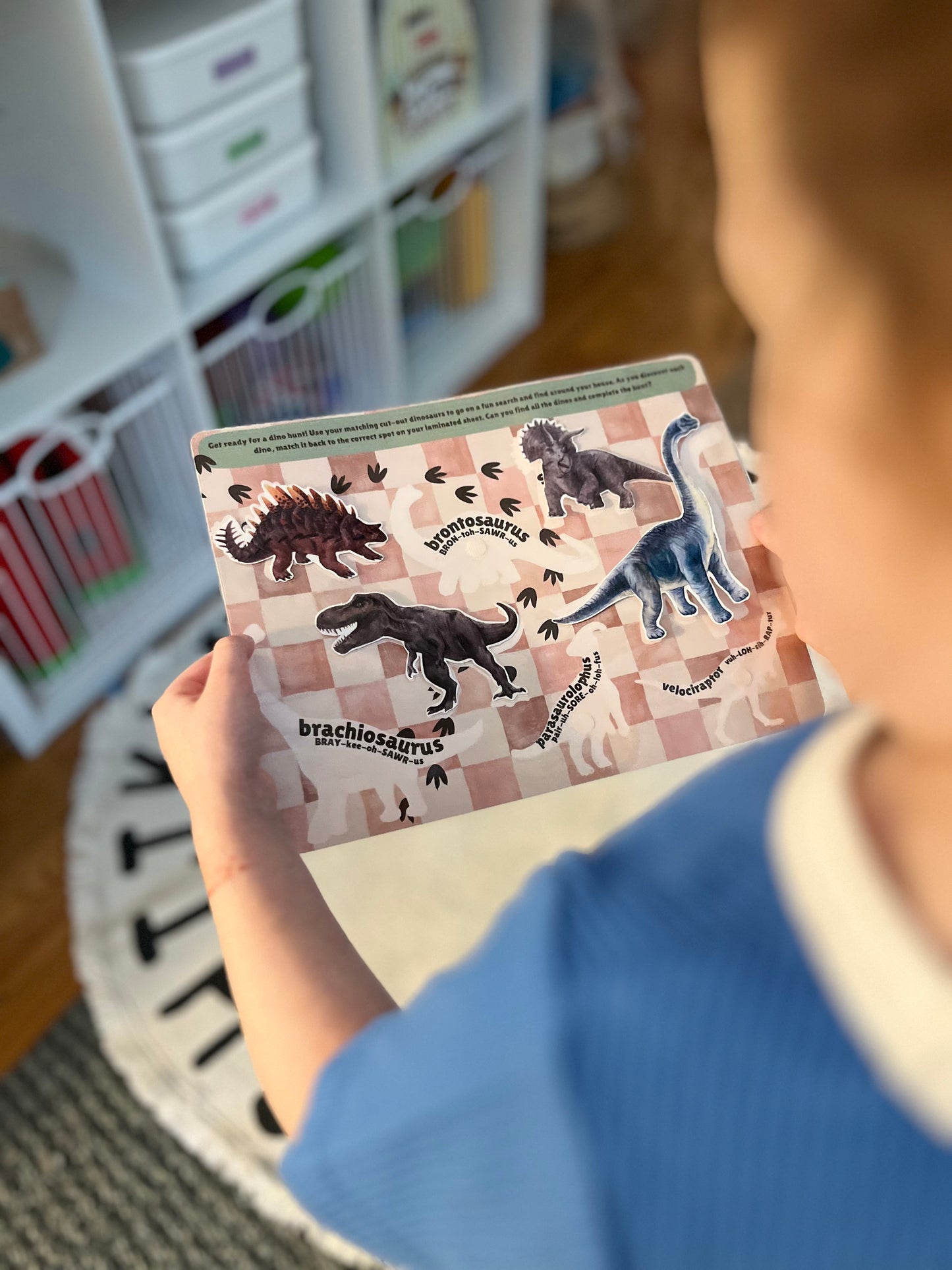 Dinosaur Excavation Bin
