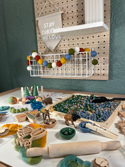 Great Outdoors Sensory Bin